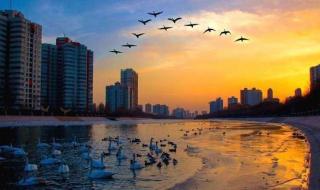 新疆大学科技学院