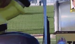 日本综艺节目有哪些