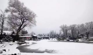 雪下的时候 雪下的时候