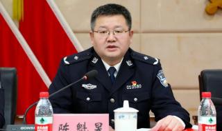 踔厉的意思 踔厉的意思