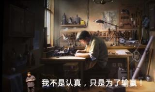 西门子冰箱罗永浩 西门子冰箱罗永浩