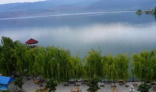 深圳观海湾大沙滩 深圳观海湾大沙滩